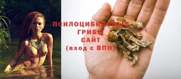 a pvp Алексеевка