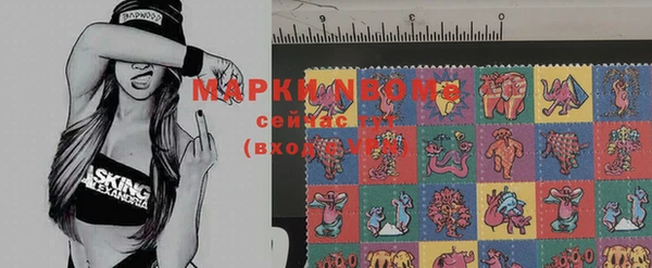 ГАЛЛЮЦИНОГЕННЫЕ ГРИБЫ Переславль-Залесский