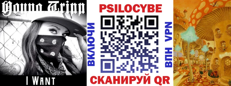 купить  цена  кракен сайт  Псилоцибиновые грибы Psilocybe  Ливны 