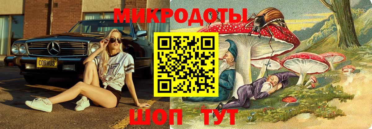 Галлюциногенные грибы MAGIC MUSHROOMS Ливны