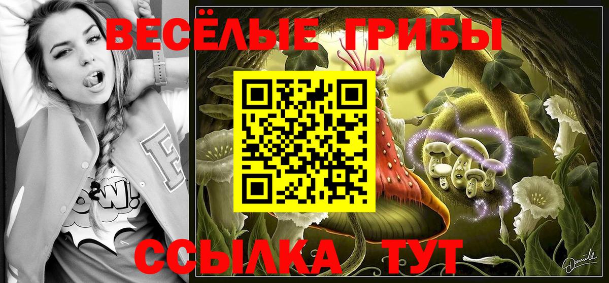 Галлюциногенные грибы прущие грибы  Вход с VPN  Ливны  Галлюциногенные грибы MAGIC MUSHROOMS 